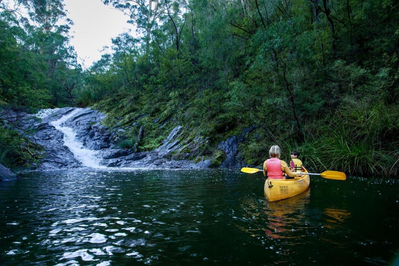 Rac Karri Valley Resort Pemberton Eksteriør billede