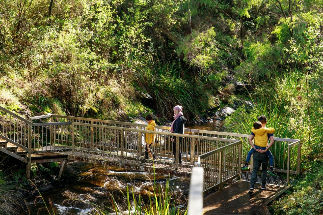 Rac Karri Valley Resort Pemberton Eksteriør billede